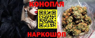 a pvp Будённовск