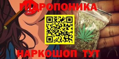 a pvp Будённовск