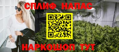 a pvp Будённовск